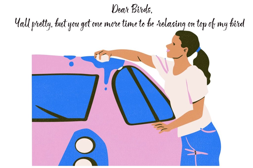 A Young woman washing the top of her car with a sponge