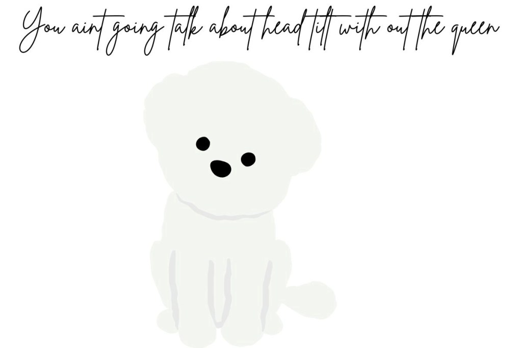 A white cute dog tilting their head