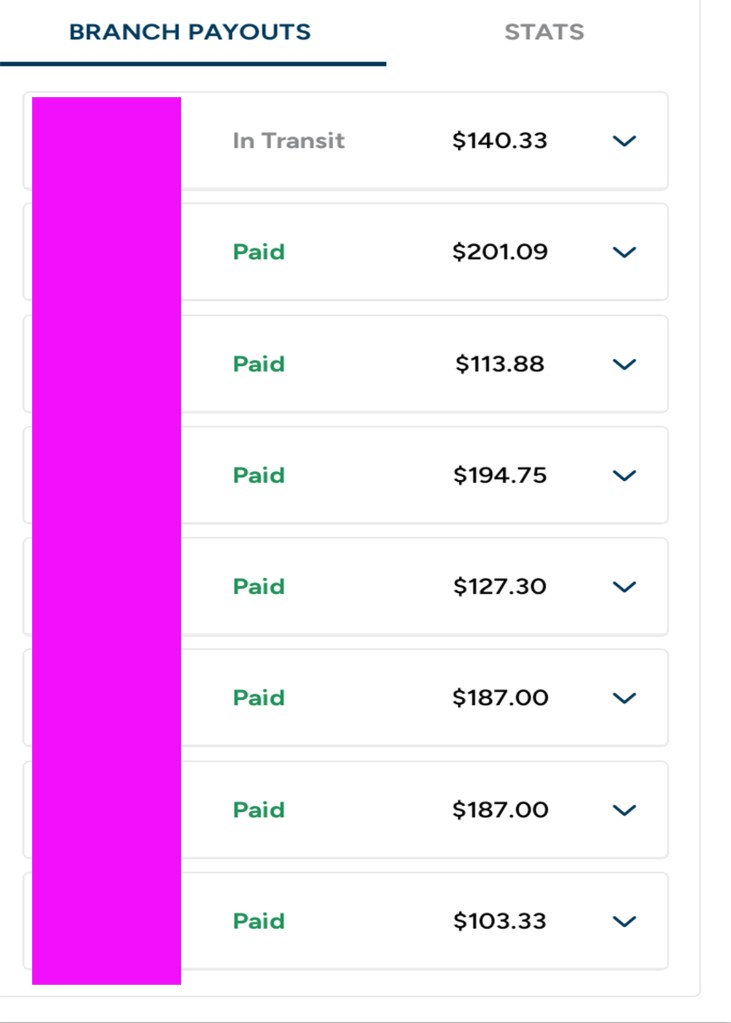 proof of payments from Get Gigs